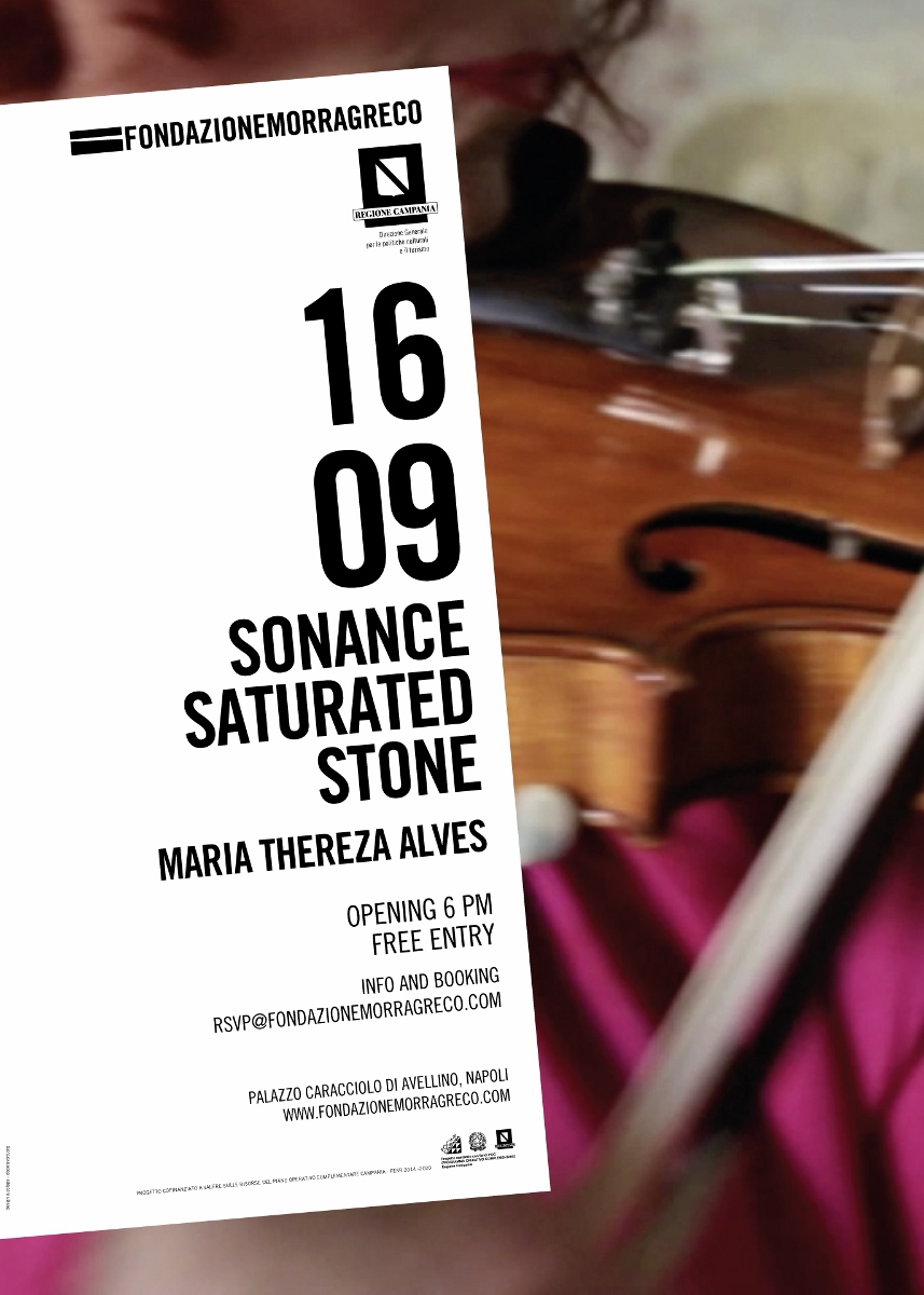 Maria Thereza Alves - Sonance Saturated Stone